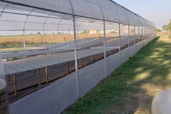 Imagen de WhatsApp 2025-02-14 a las 10.41.06_b8088ec5