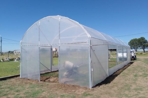 Imagen de WhatsApp 2025-02-14 a las 10.41.06_d1e1079d