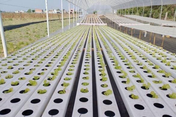 Imagen de WhatsApp 2025-02-14 a las 10.41.06_e3a23a9f