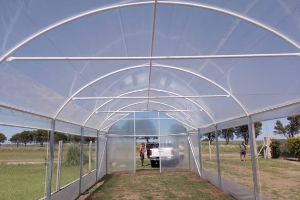 Imagen de WhatsApp 2025-02-14 a las 10.41.06_f0d59b31