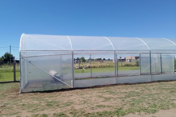 Imagen de WhatsApp 2025-02-14 a las 10.41.07_41b9e5e9