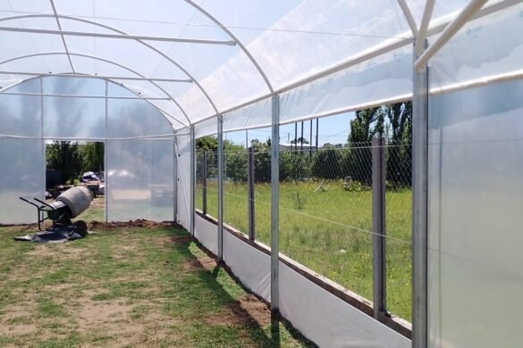 Imagen de WhatsApp 2025-02-14 a las 10.41.07_7d6f6407