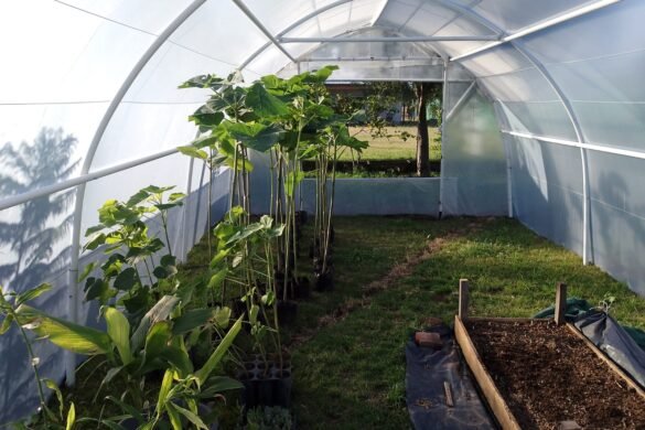 Imagen de WhatsApp 2025-04-23 a las 13.06.05_acb11c1c