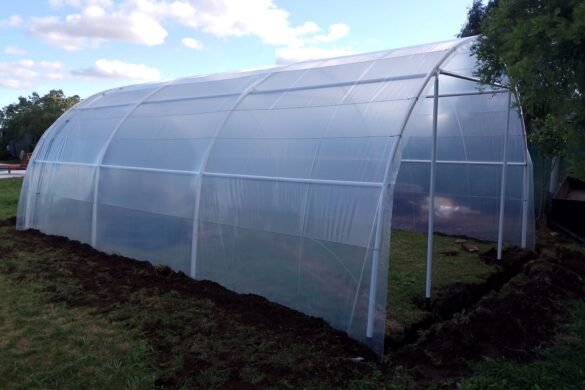 Imagen de WhatsApp 2025-04-23 a las 13.06.06_99e171cc