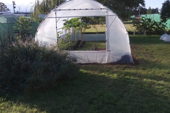 Imagen de WhatsApp 2025-04-23 a las 13.06.06_ffc01d9a