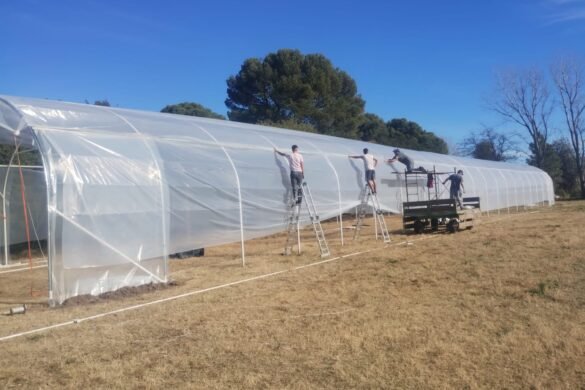 Imagen de WhatsApp 2025-04-23 a las 13.30.00_60be2c5d