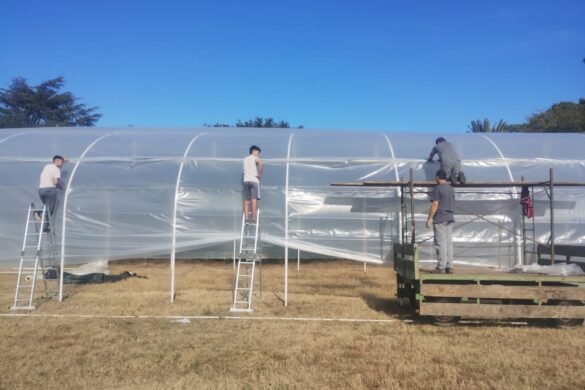 Imagen de WhatsApp 2025-04-23 a las 13.30.00_700b85e8