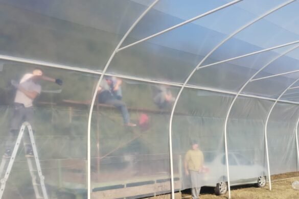 Imagen de WhatsApp 2025-04-23 a las 13.30.01_1eb3a544