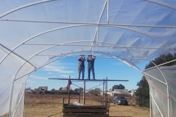 Imagen de WhatsApp 2025-04-23 a las 13.30.01_f4305514